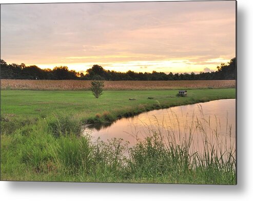 Morning Metal Print featuring the photograph Castalia Pond #3 by Eric Towell