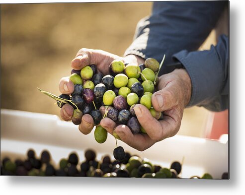 Working Metal Print featuring the photograph Caucasian man with handful of olives by Blend Images - Sollina Images