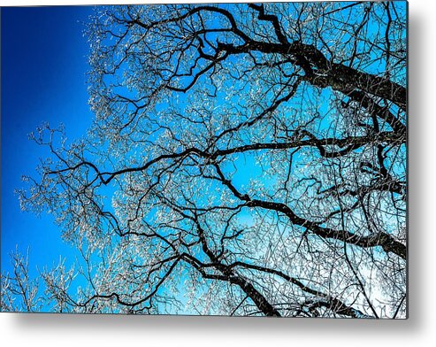 Abstract Metal Print featuring the photograph Chaotic System Of Ice Covered Tree Branches With Blue Sky by Andreas Berthold