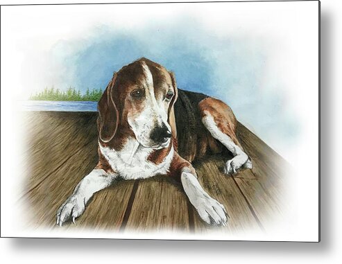 Commissioned Beagle Watercolour Art By Patrice Metal Print featuring the painting Charlie by Patrice Clarkson