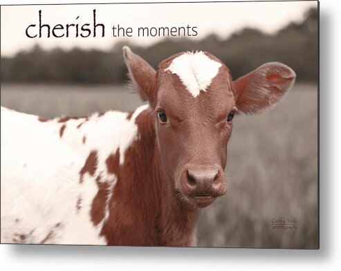 Texas Longhorn Baby Cow Picture Metal Print featuring the photograph Cherish the moments - Jewels by Cathy Valle