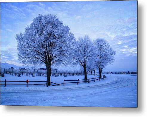 Chilly Winter Morning Metal Print featuring the photograph Chilly winter morning by Lynn Hopwood