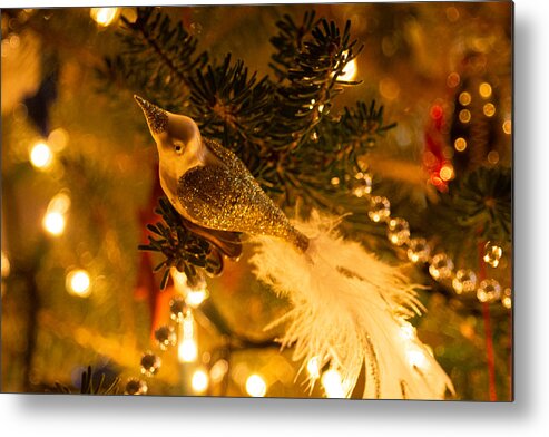 Bird Metal Print featuring the photograph Christmas Bird by Linda Bonaccorsi
