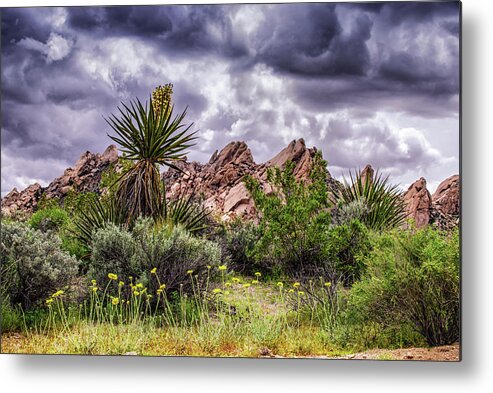 Nevada Metal Print featuring the photograph Christmas Tree Pass, Southern Nevada by Janis Knight