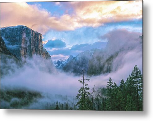 Yosemite National Park Metal Print featuring the photograph Circle Of Life by Jonathan Nguyen