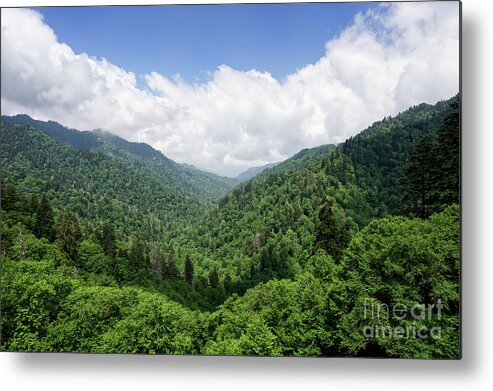 Clingmans Dome Metal Print featuring the photograph Clingmans Dome 8 by Phil Perkins