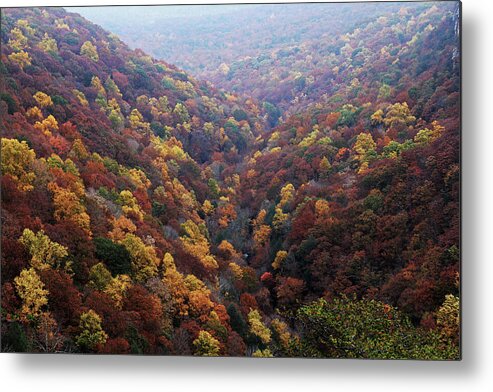 Cloudland Canyon Metal Print featuring the photograph Cloudland Canyon, Ga. by Richard Krebs