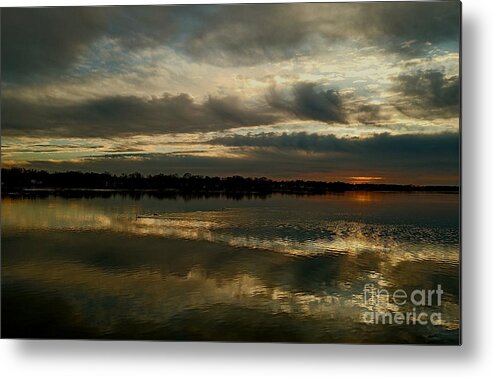 Wildlife Metal Print featuring the photograph Cloudy Swannee Upper Niagara Sunset by fototaker Tony