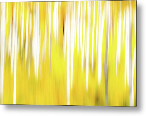 Abstract Metal Print featuring the photograph CO Abstract 736 by David Downs