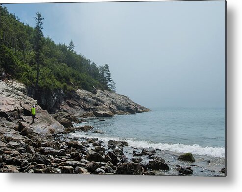 Tall Pine Trees Metal Print featuring the photograph Coastal Maine 6 by Mike McGlothlen