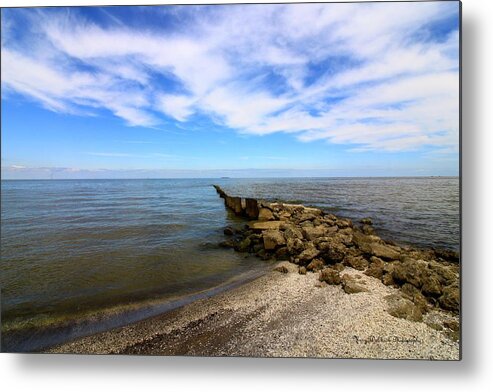 Lake Erie Metal Print featuring the photograph Coastal Ohio Series 1 by Mary Walchuck