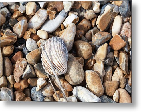 United Kingdom Metal Print featuring the photograph Cockleshell by Richard Donovan