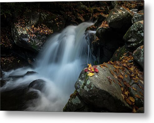 Fall Colors Metal Print featuring the photograph Cold Mountain Cascade by Darrell DeRosia