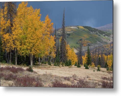 Colorado Metal Print featuring the photograph Colorado Autumn Rain Shower Landscape by Cascade Colors