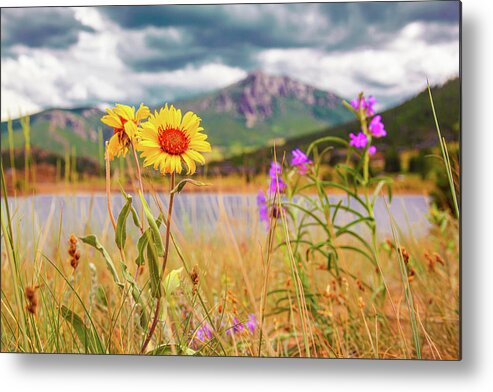 Colorado Metal Print featuring the photograph Wildflowers at Mary's Lake in Estes Park, Colorado by Jeanette Fellows