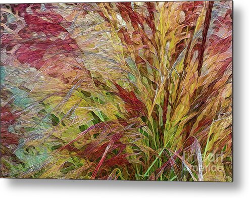 Grass Metal Print featuring the photograph Colorful Blades of Grass by Roslyn Wilkins
