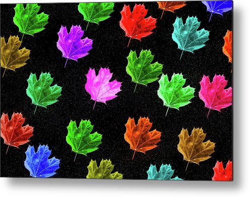 Colorful Leaf Collage Metal Print featuring the mixed media Colorful Leaf Collage by Dan Sproul