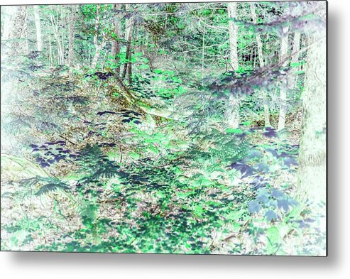 Trees Metal Print featuring the photograph Shades of Green Woodlands by Missy Joy
