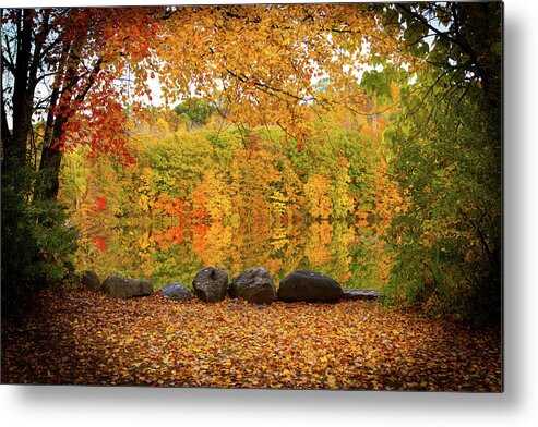 Foliage Metal Print featuring the photograph Connecticut_Foliage_8225 by Rocco Leone