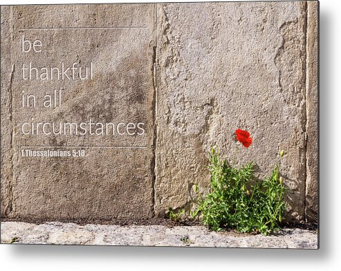 City Metal Print featuring the photograph Be thankful in all circumstances by Viktor Wallon-Hars