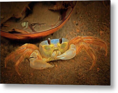 Digital Art Metal Print featuring the digital art Crabby Crab by Melinda Dreyer