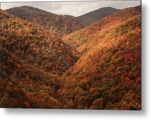 Blue Ridge Parkway Metal Print featuring the photograph Crazy Fall Color at Cherry Cove by Joni Eskridge