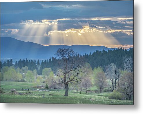 Sun Metal Print featuring the photograph Crepuscular by Randy Robbins