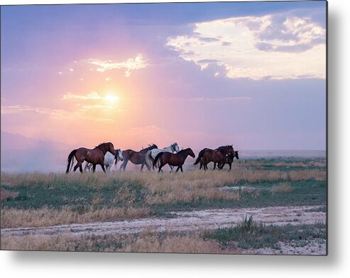 Wild Horses Metal Print featuring the photograph Crimson Cliff's Entry by Dirk Johnson
