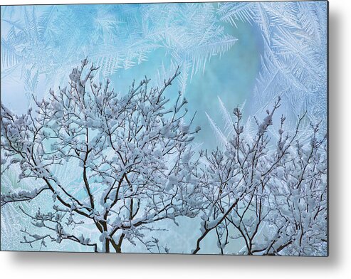 Winter Metal Print featuring the photograph Crystal Blue Winter by Cate Franklyn