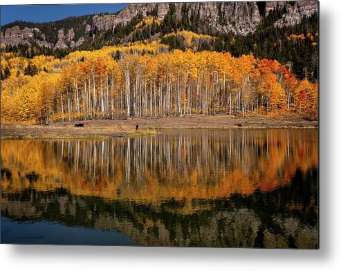 Clear Metal Print featuring the photograph Crystal Clear by Elin Skov Vaeth