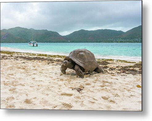 Curieuse Island Metal Print featuring the photograph No Place Like HOME... Curieuse Island 2 by Dubi Roman
