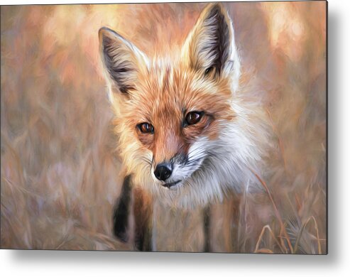 Red Fox Metal Print featuring the photograph Curious by Linda Villers