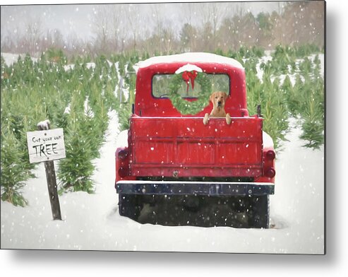 Christmas Metal Print featuring the photograph Cut Your Own Tree by Lori Deiter