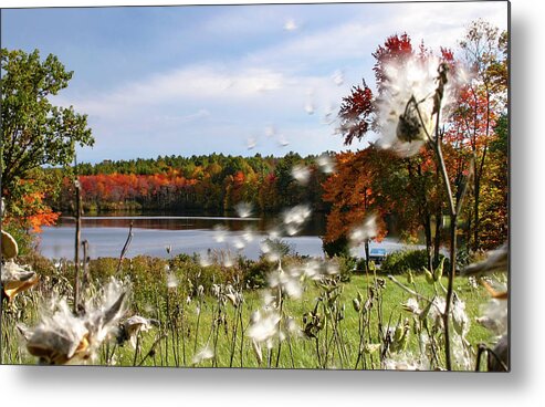 Cat Tails Metal Print featuring the photograph Cycle of Life on an Autumn Wind by Jeff Folger
