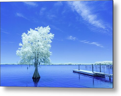 2022 Metal Print featuring the photograph Cypress at Elliott's Landing-Infrared by Charles Hite