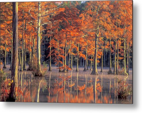 Cypress Trees Metal Print featuring the photograph Cypress Fancy by Jim Dollar