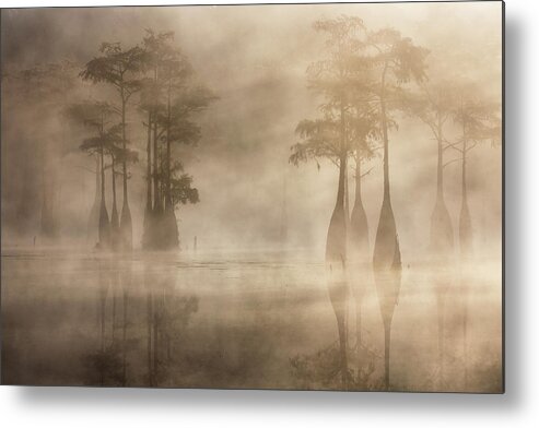 Abstract Metal Print featuring the photograph Cypress in Fog by Alex Mironyuk