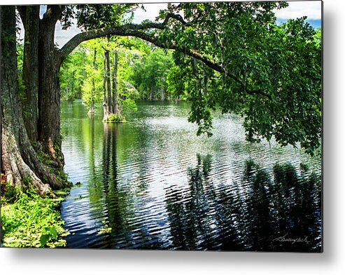 Color Metal Print featuring the photograph Cypress Lake by Alan Hausenflock