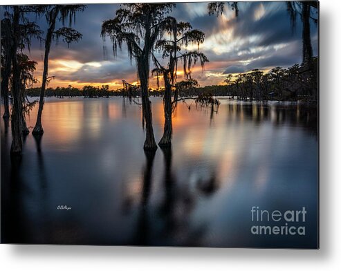 Sunsets Metal Print featuring the photograph Cypress Lake Sunset by DB Hayes