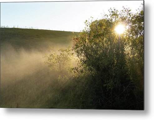 Dawn Metal Print featuring the photograph Dawn on a foggy morning by Phil And Karen Rispin