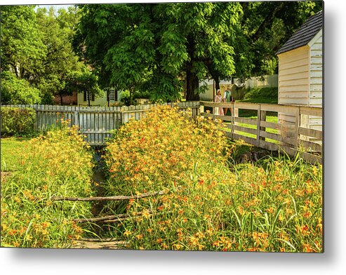 Colonial Williamsburg Metal Print featuring the photograph Daylilies in the Spring by Lara Morrison