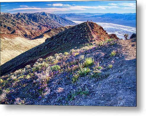 Landscape Metal Print featuring the photograph Death Valley at spring by Tatiana Travelways