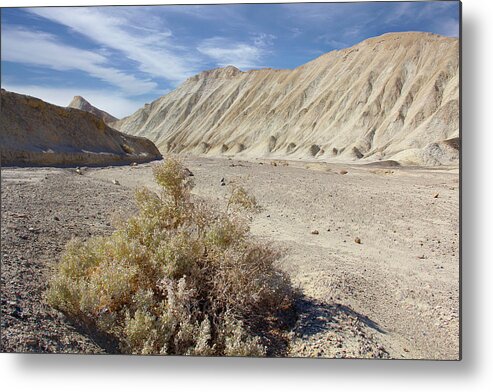 Desert Metal Print featuring the photograph Death Valley by Mike McGlothlen