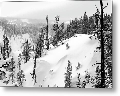 Frame Metal Print featuring the photograph Deep Snow in the Back Country by Greg Sigrist