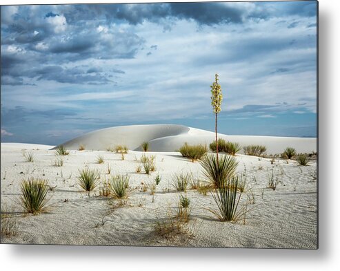 White Sands National Monument Metal Print featuring the photograph Desert Sandbox by James Barber