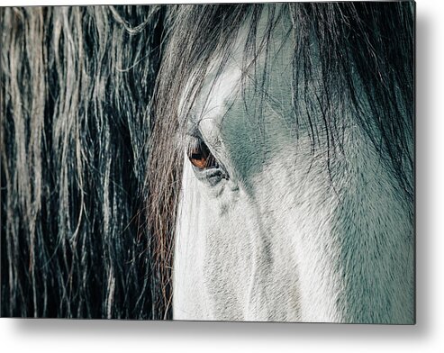 Beauty In Nature Metal Print featuring the photograph Details of horse's head by Benoit Bruchez