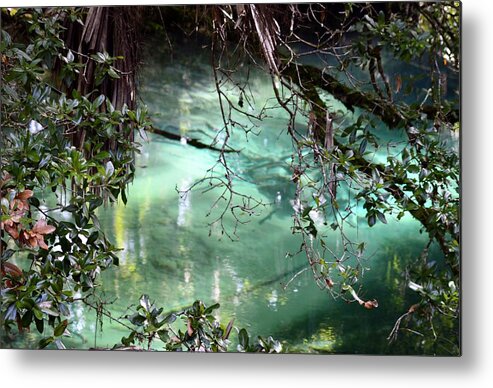 Diamonds In The Forest - Metal Print featuring the photograph Diamonds in the Forest by Warren Thompson