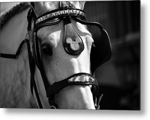 Fine Art Photography Metal Print featuring the photograph Disney horse with bridle work #1 by David Lee Thompson