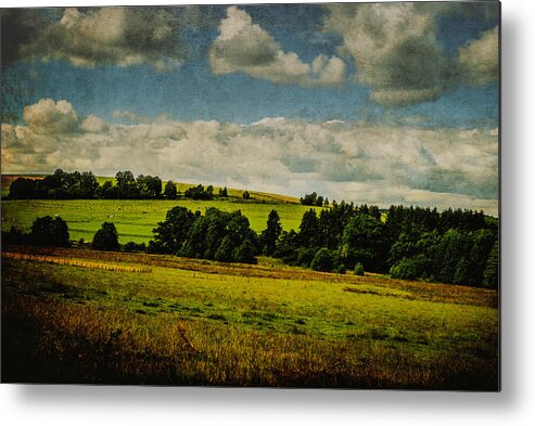 Land Metal Print featuring the photograph Diving into green by Yasmina Baggili