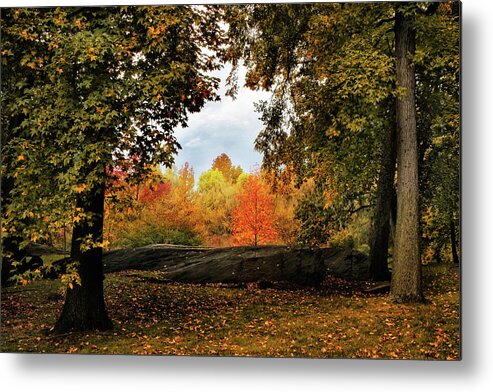 Autumn Metal Print featuring the photograph Framing Autumn by Jessica Jenney